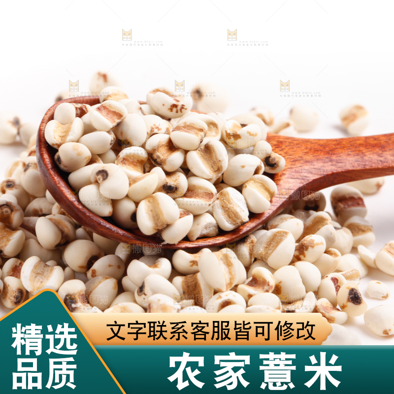勺子里装着薏米