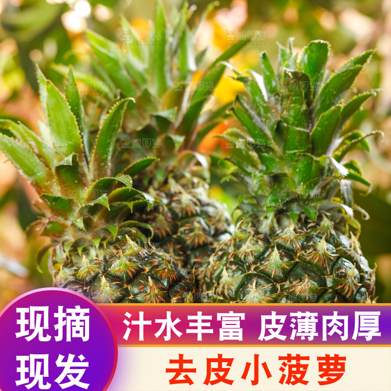 篮子里装着小菠萝