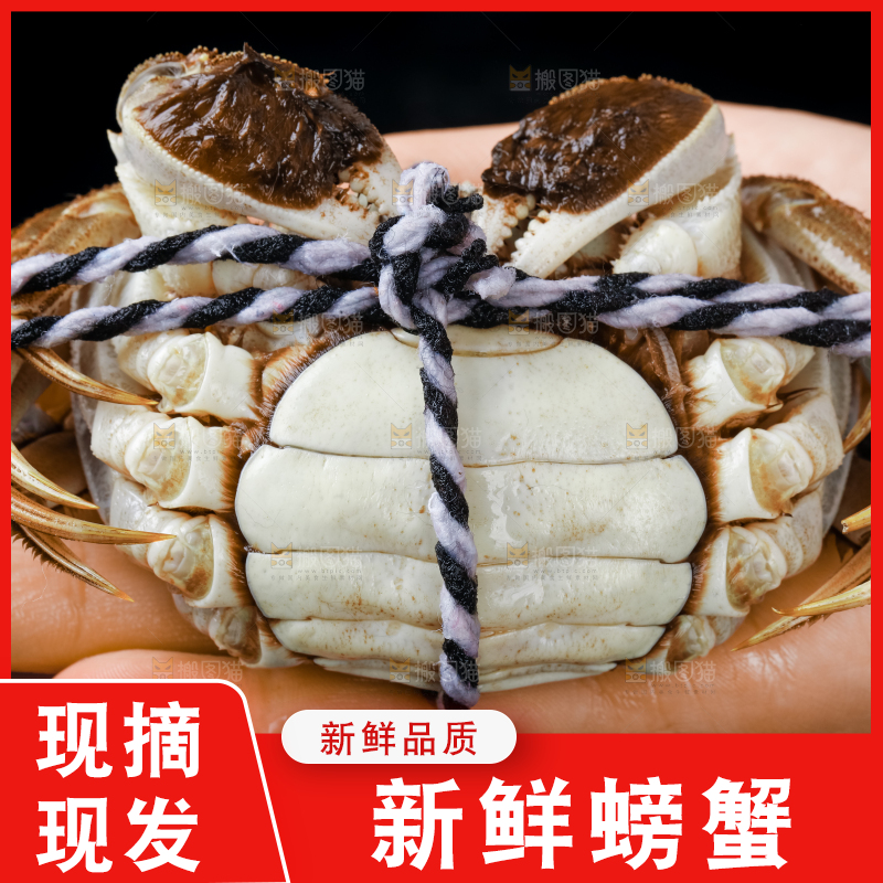 手里拿着鲜活螃蟹