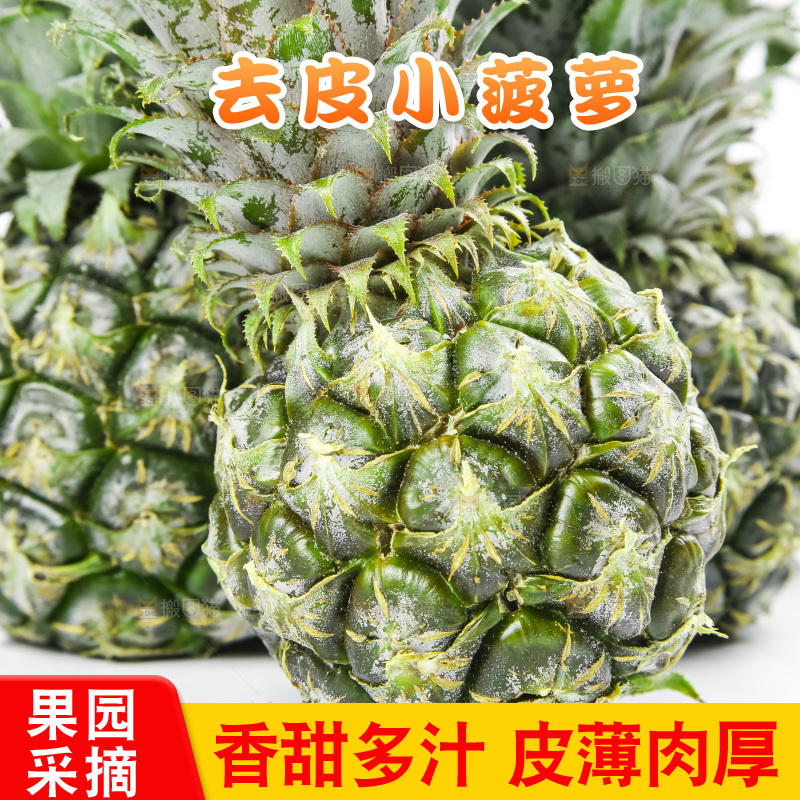 白底上放着泰国小菠萝