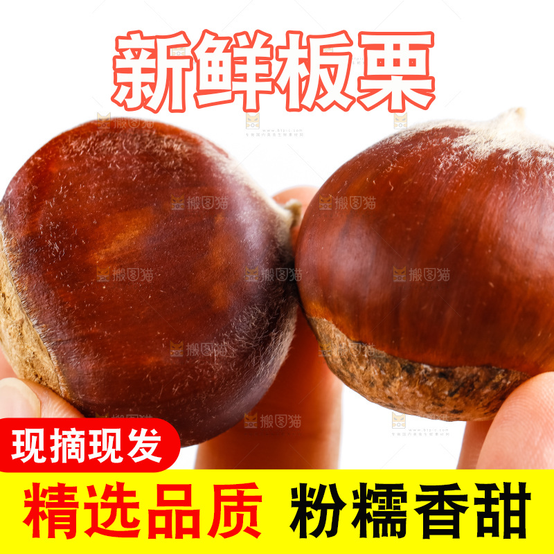 手里拿着新鲜板栗