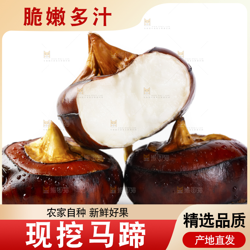 白底上放着广西马蹄