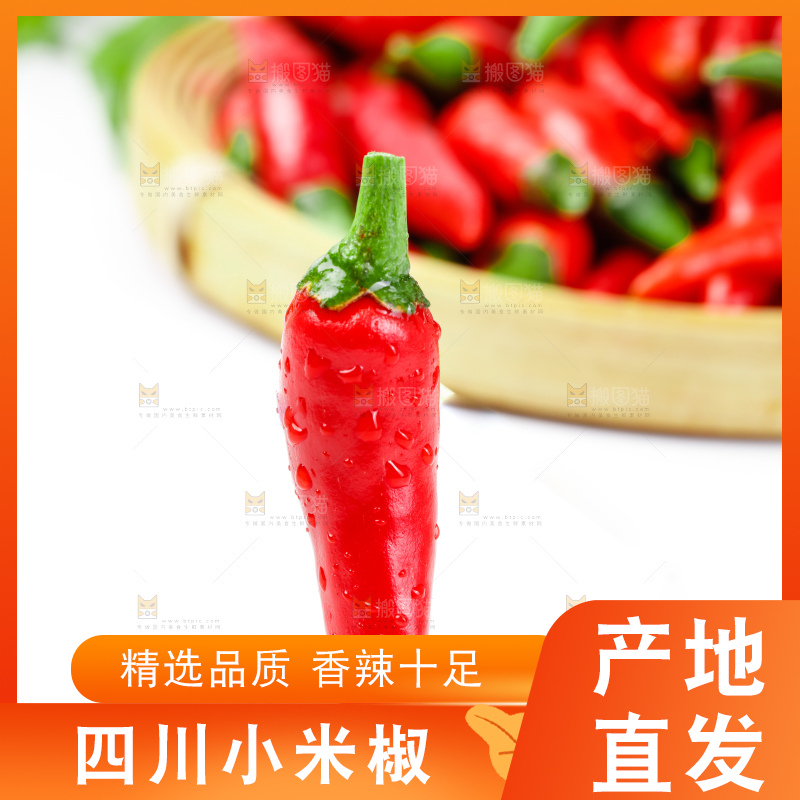 白底上摆放着广西小米椒