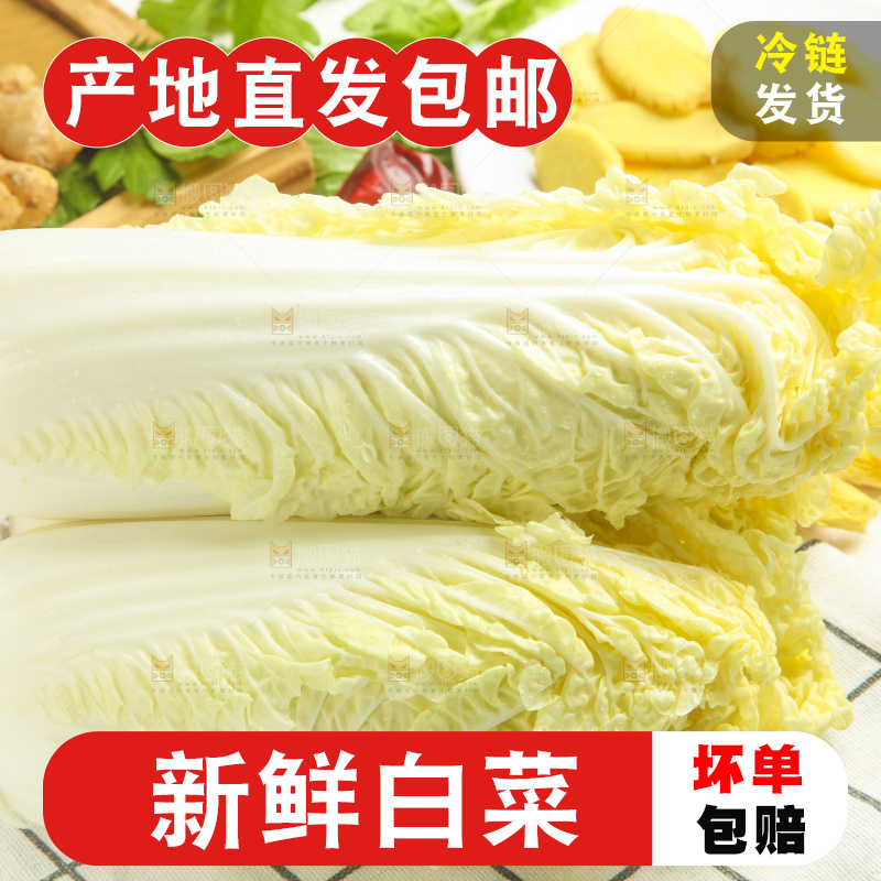 白格子底上的大白菜