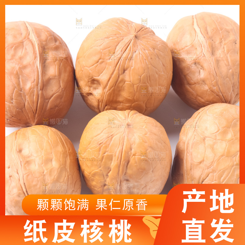 白底上的新疆核桃
