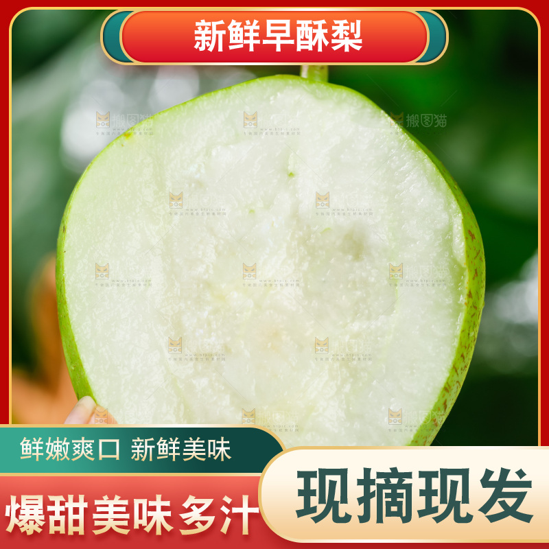 手拿切开的早酥梨