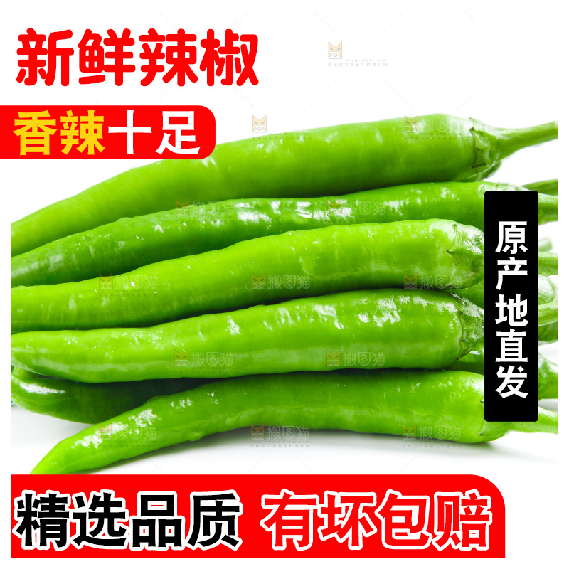 白底上摆放着新鲜杭椒