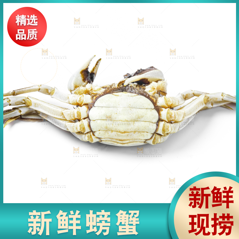 浅底上的鲜活螃蟹