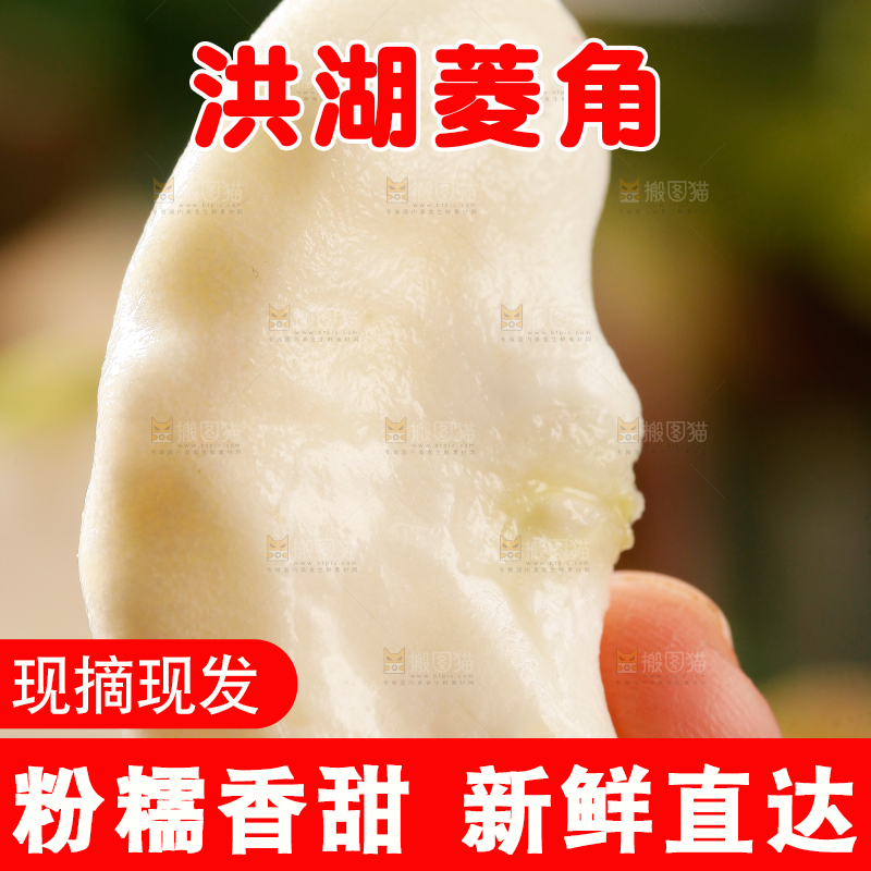 手里拿着新鲜菱角