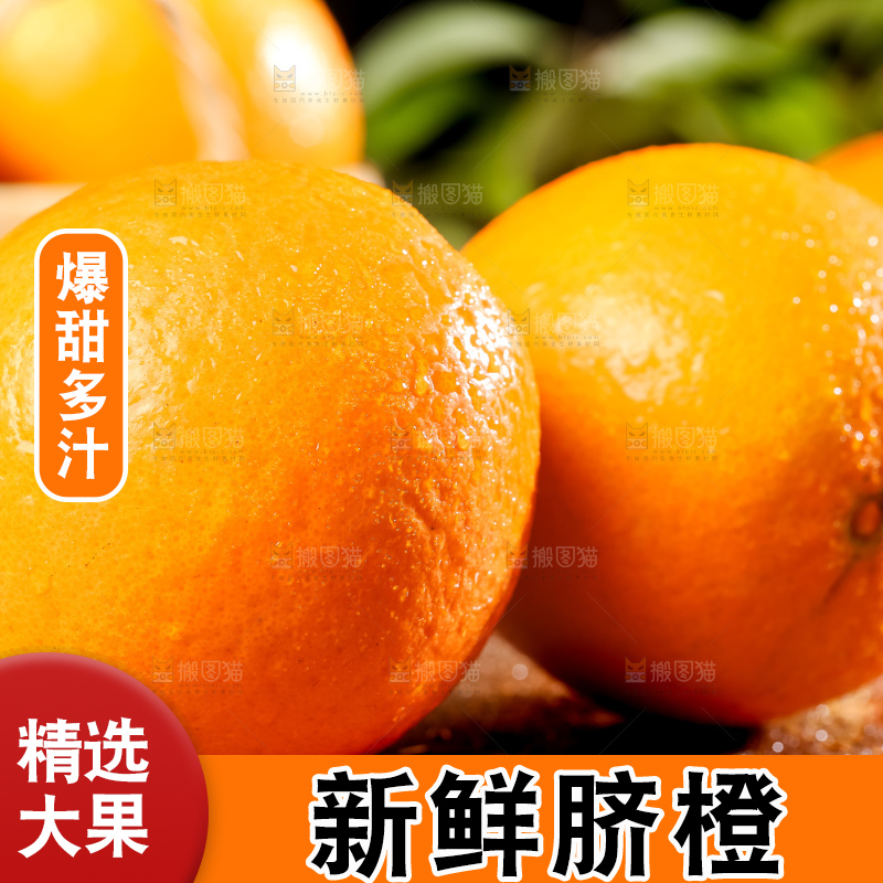 黄板子上的脐橙