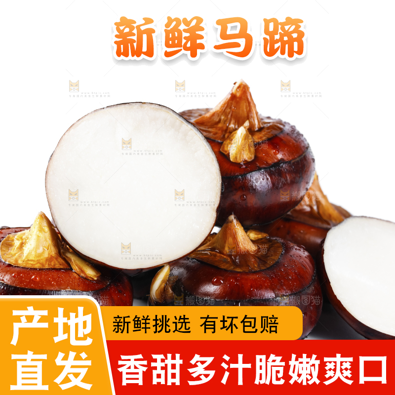 白底上放着广西马蹄