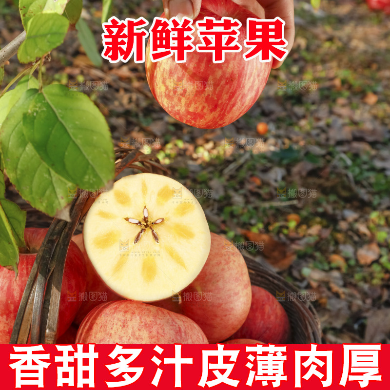 篮子里装着冰糖心苹果