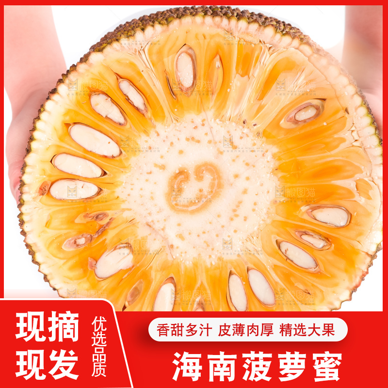 白底上的越南菠萝蜜