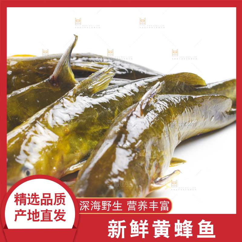 白底上放着黄蜂鱼