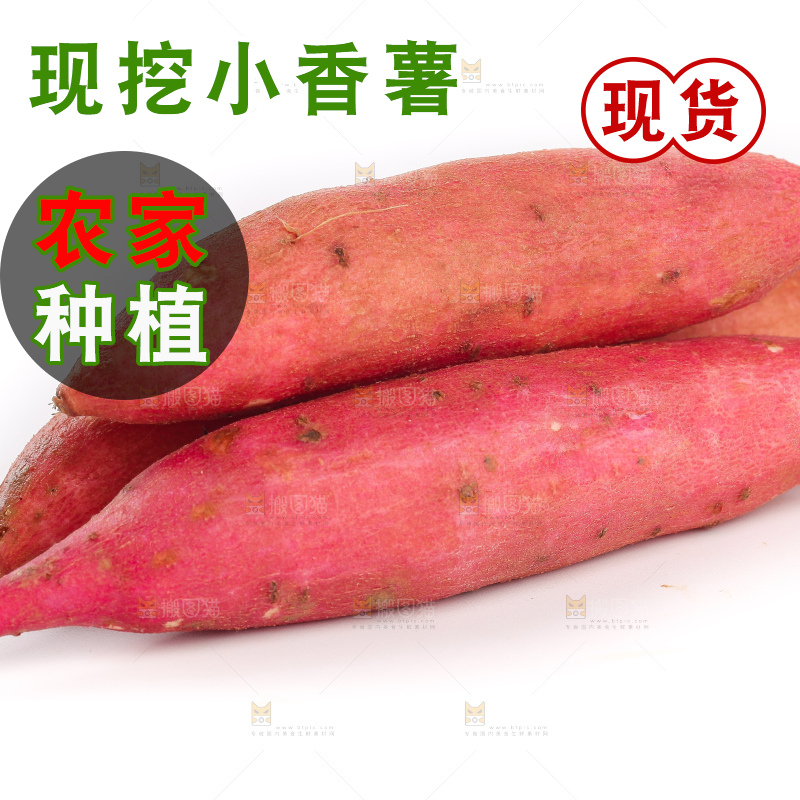 白底上的小蜜薯