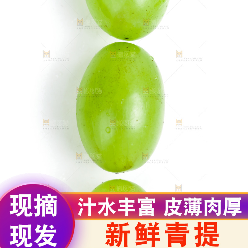 白底上放着维多利亚青提