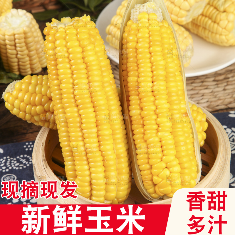 蒸笼里放着黄玉米