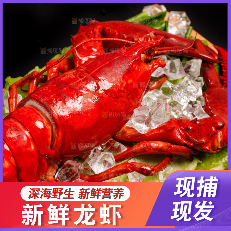 黑底上放着一盘澳洲大龙虾