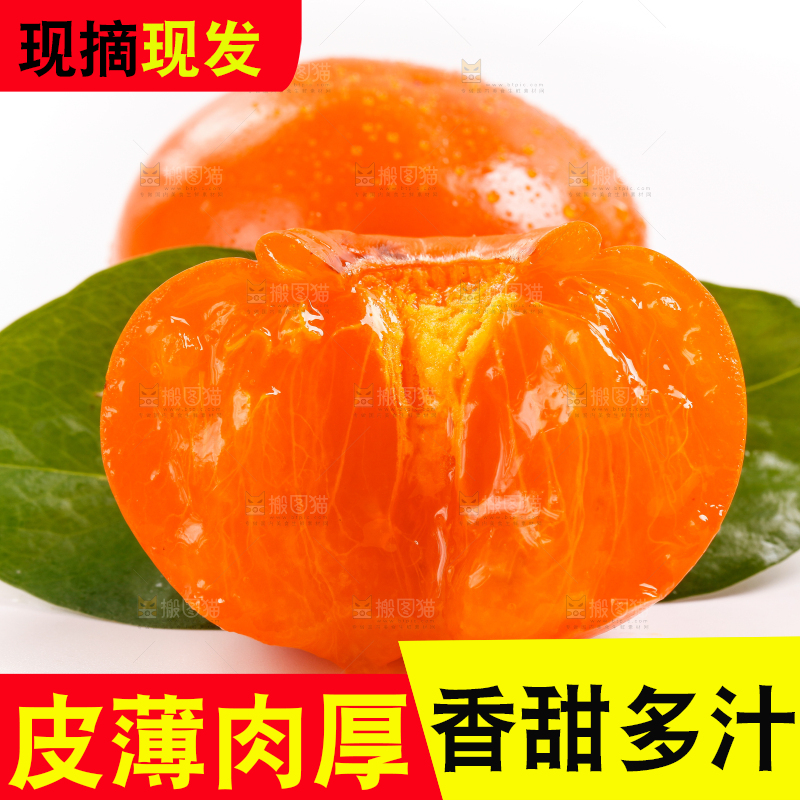 白底上放着甜柿子