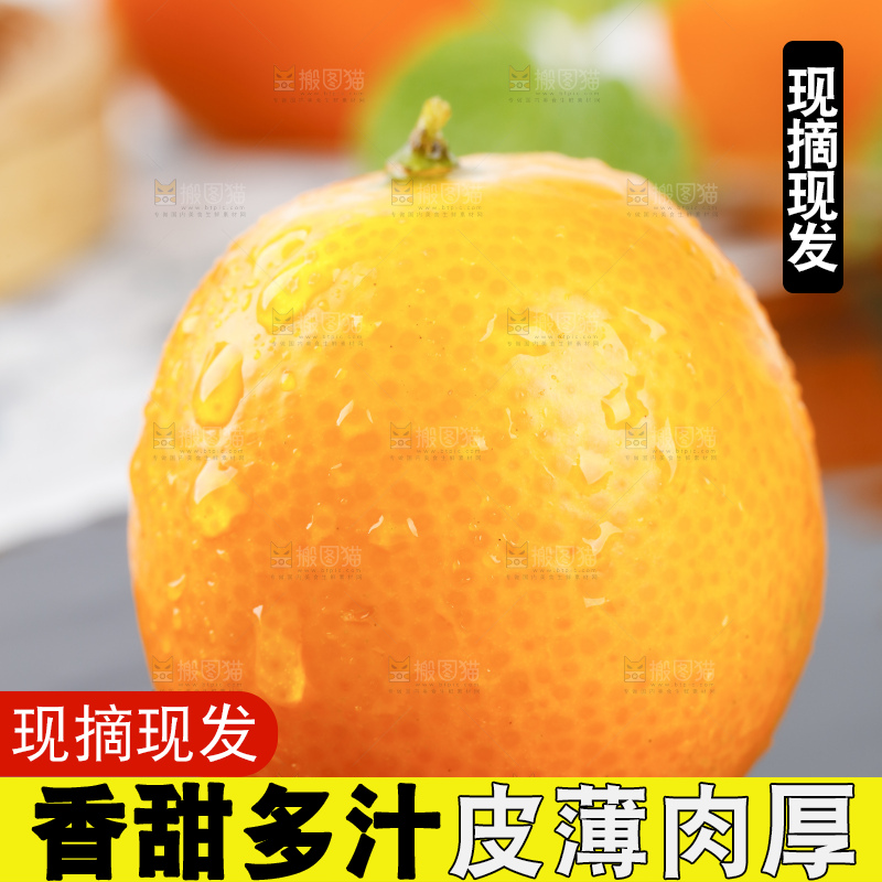 黑石板上的广西金钱橘