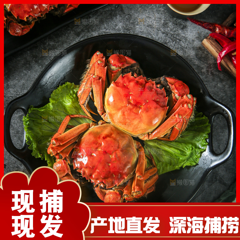 盘子里装着清蒸螃蟹