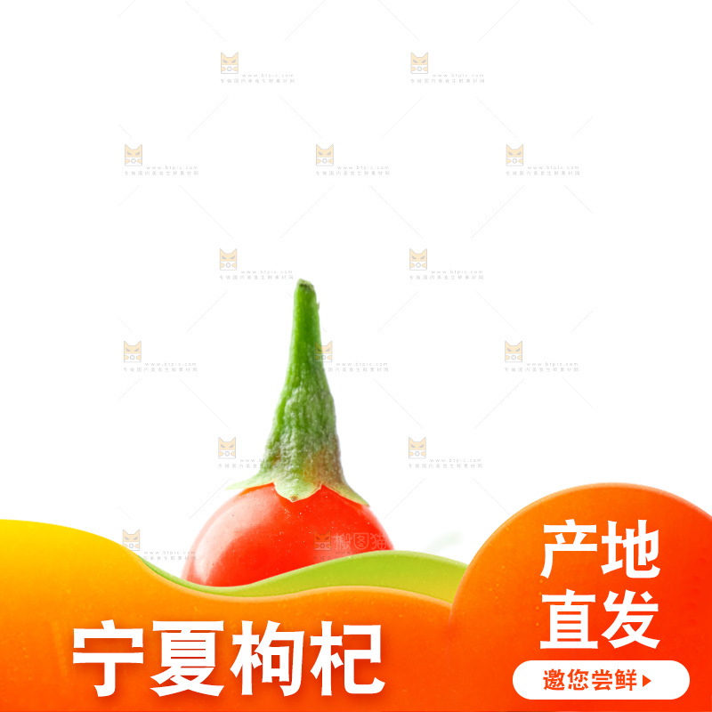 白底上放着枸杞