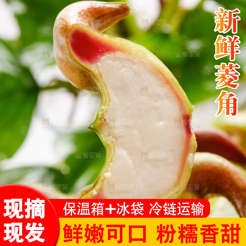 手里拿着新鲜菱角