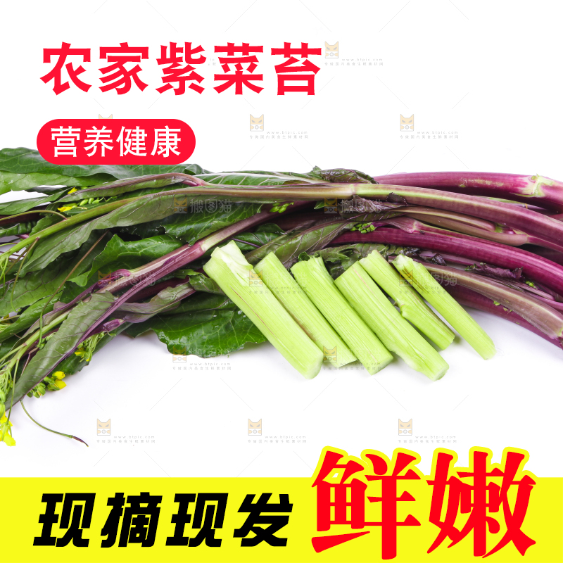 白底上放着紫菜苔