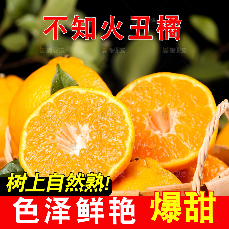 篮子里装着四川丑柑