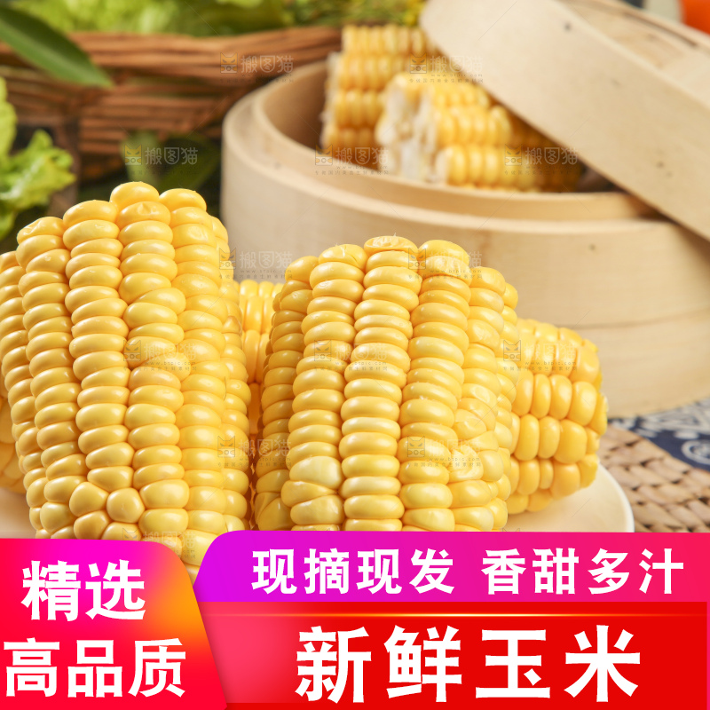 草垫子上放着一盘东北玉米