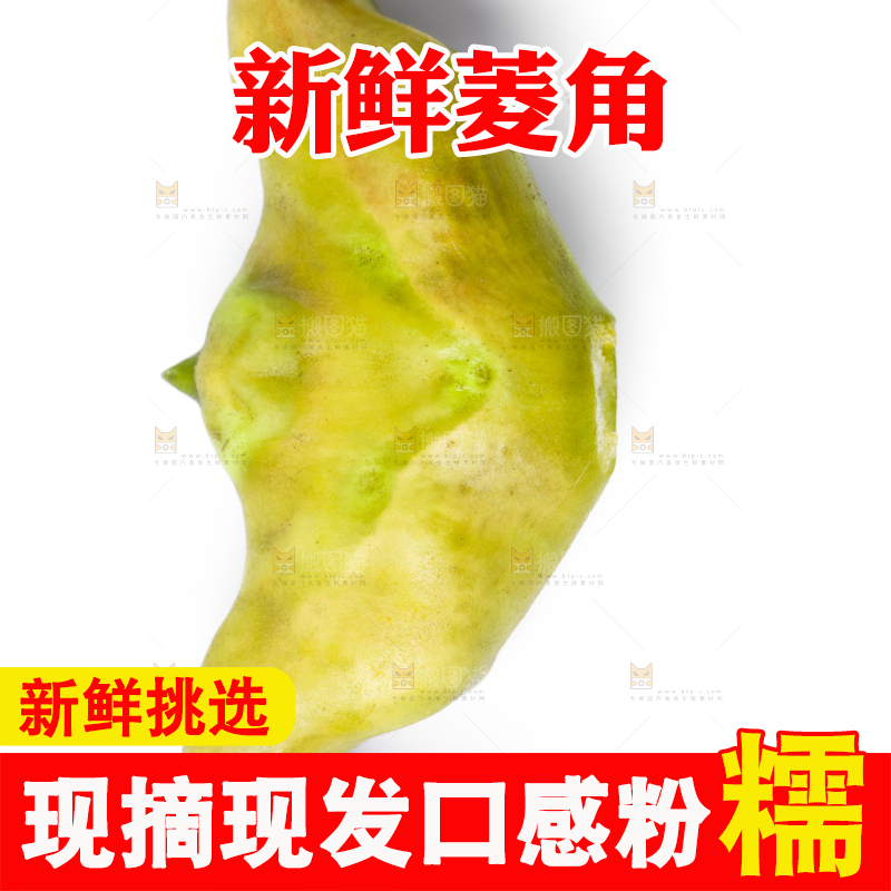 浅底上的新鲜菱角