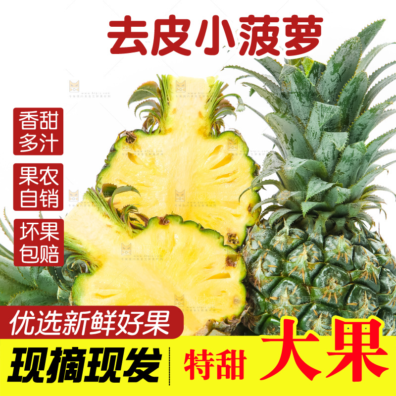 白底上的新鲜小菠萝