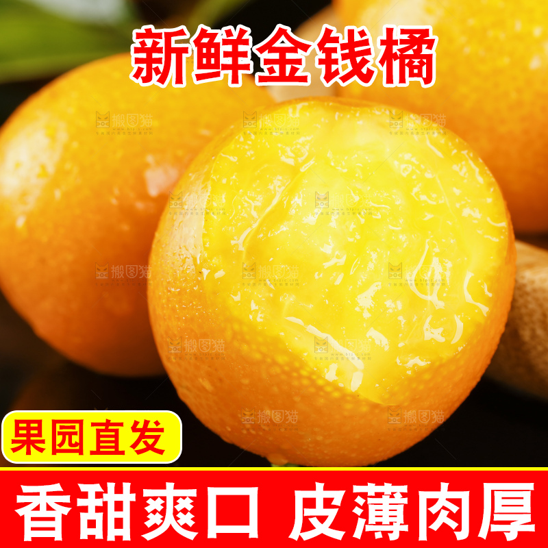 黑底上的小金桔