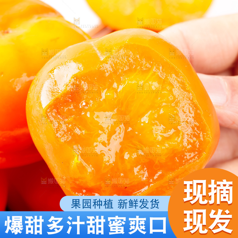 手里拿着新鲜柿子