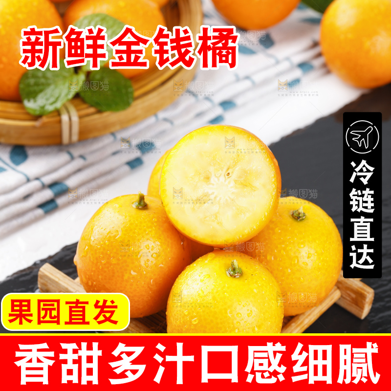 黑石板上的广西金钱橘