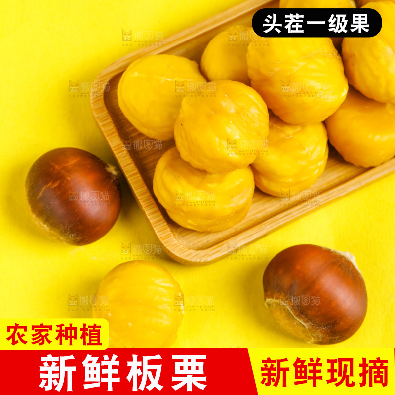 黄底上的迁西板栗