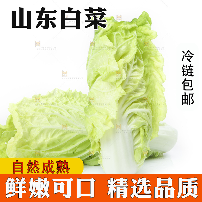 白底上放着大白菜