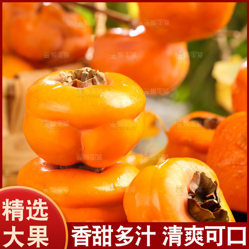 黑石板上放着易县磨盘柿