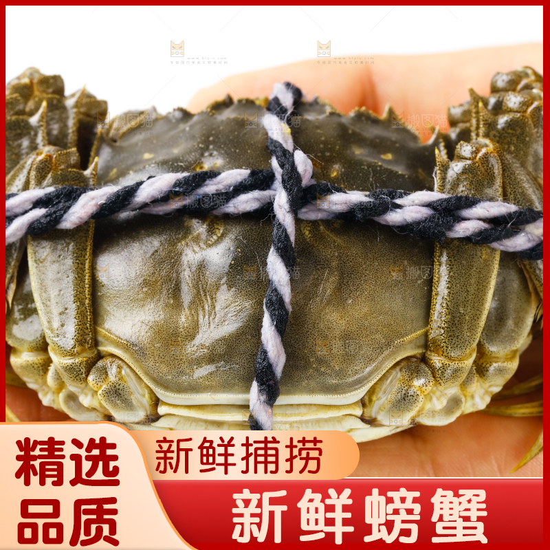 手里拿着鲜活螃蟹