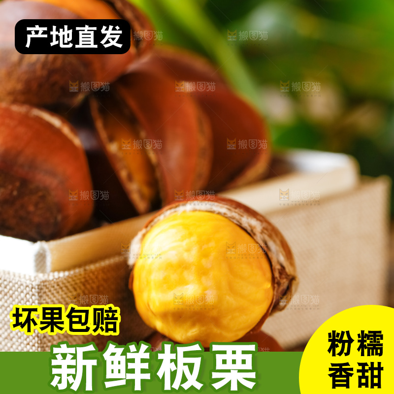 深底上的迁西板栗