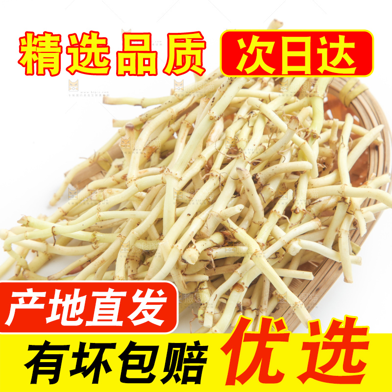 白底上的鱼腥草