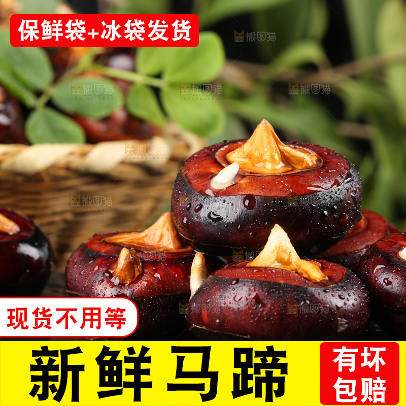 黑石板上的荔浦马蹄