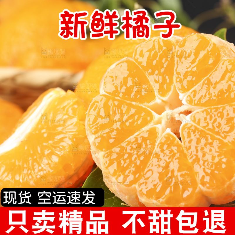 石板上的椪柑