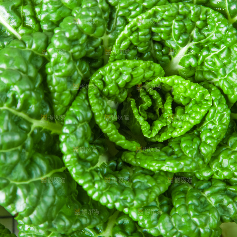 木板上的奶油白菜