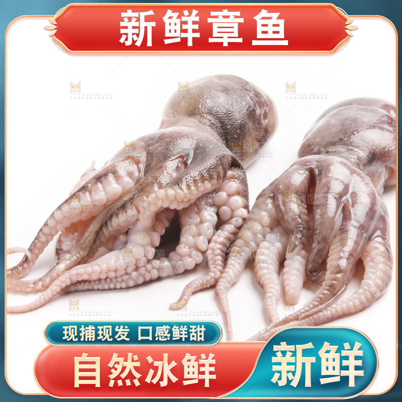 盘子里的大连章鱼