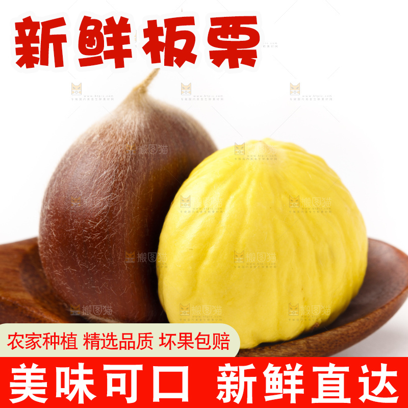 白底上的新鲜板栗