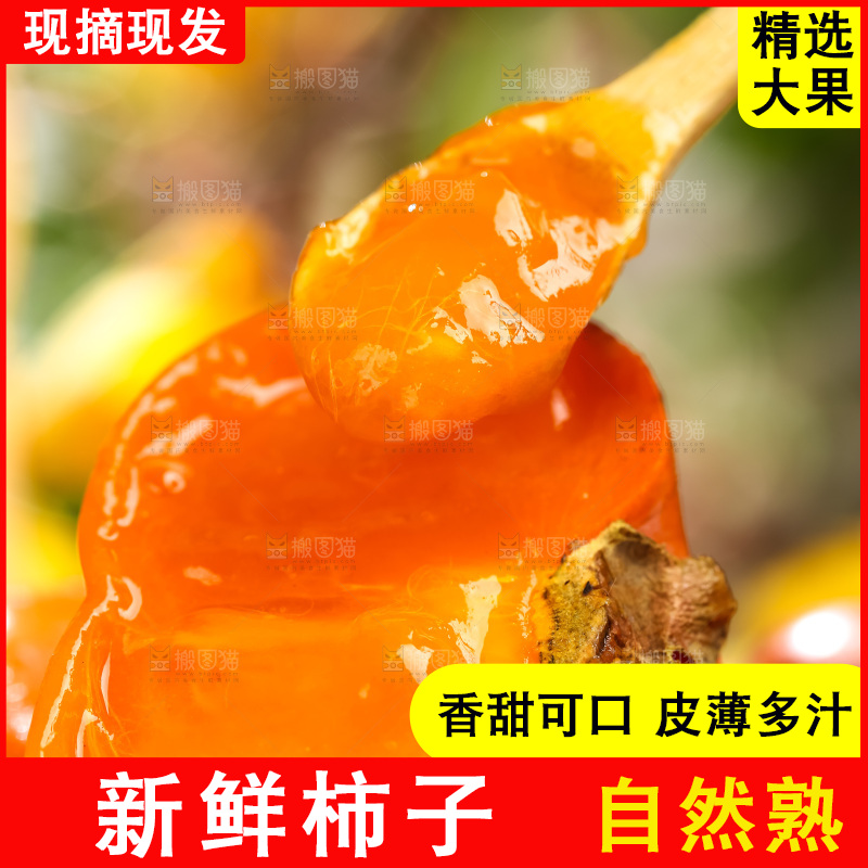 黑石板上放着易县磨盘柿