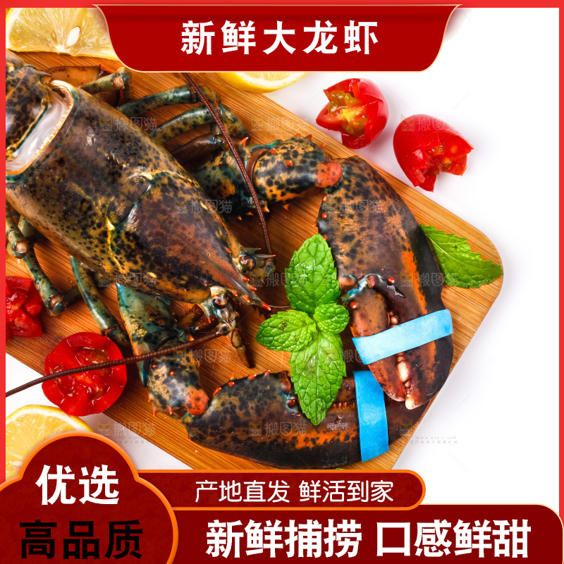 浅底上的澳洲龙虾