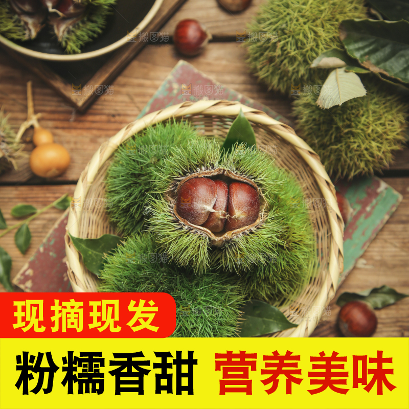 篮子里的迁西板栗