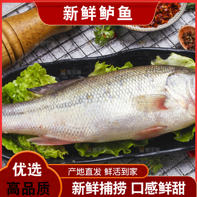 盘子里装着鲈鱼